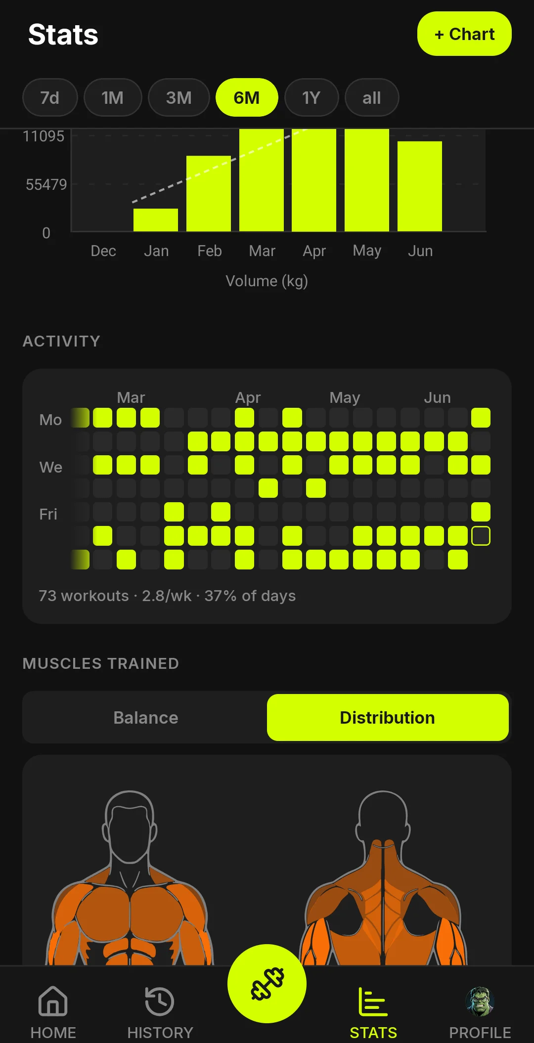 BULQ stats - volume trend, training activity heatmap and muscle balance